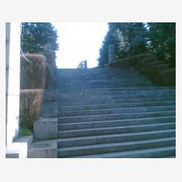 57-pogled_na_stepenice.jpg