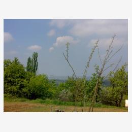 03-Obrenovac-vidjen-iz-Jasenka.jpg