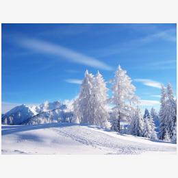 Winter_Landscape_1600.jpg